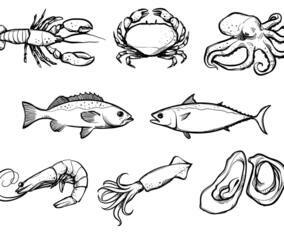 Free Seafood Vectors