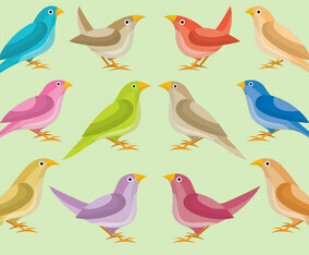 Colorful Nightingale