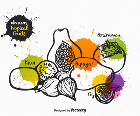 Free Vector Drawn Tropical Fruits