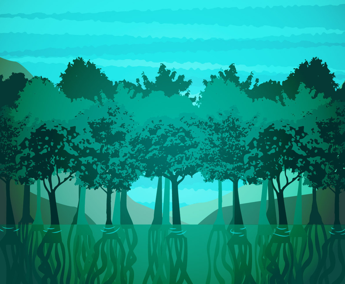 Mangrove Illustration Vector