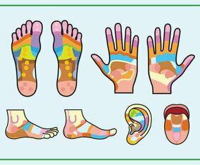 Free Reflexology Chart