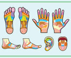 Free Reflexology Chart
