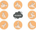 Free Reflexology Vector