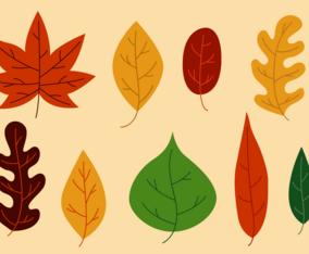 Free Leaves Vector