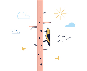 Free Woodpecker Vector