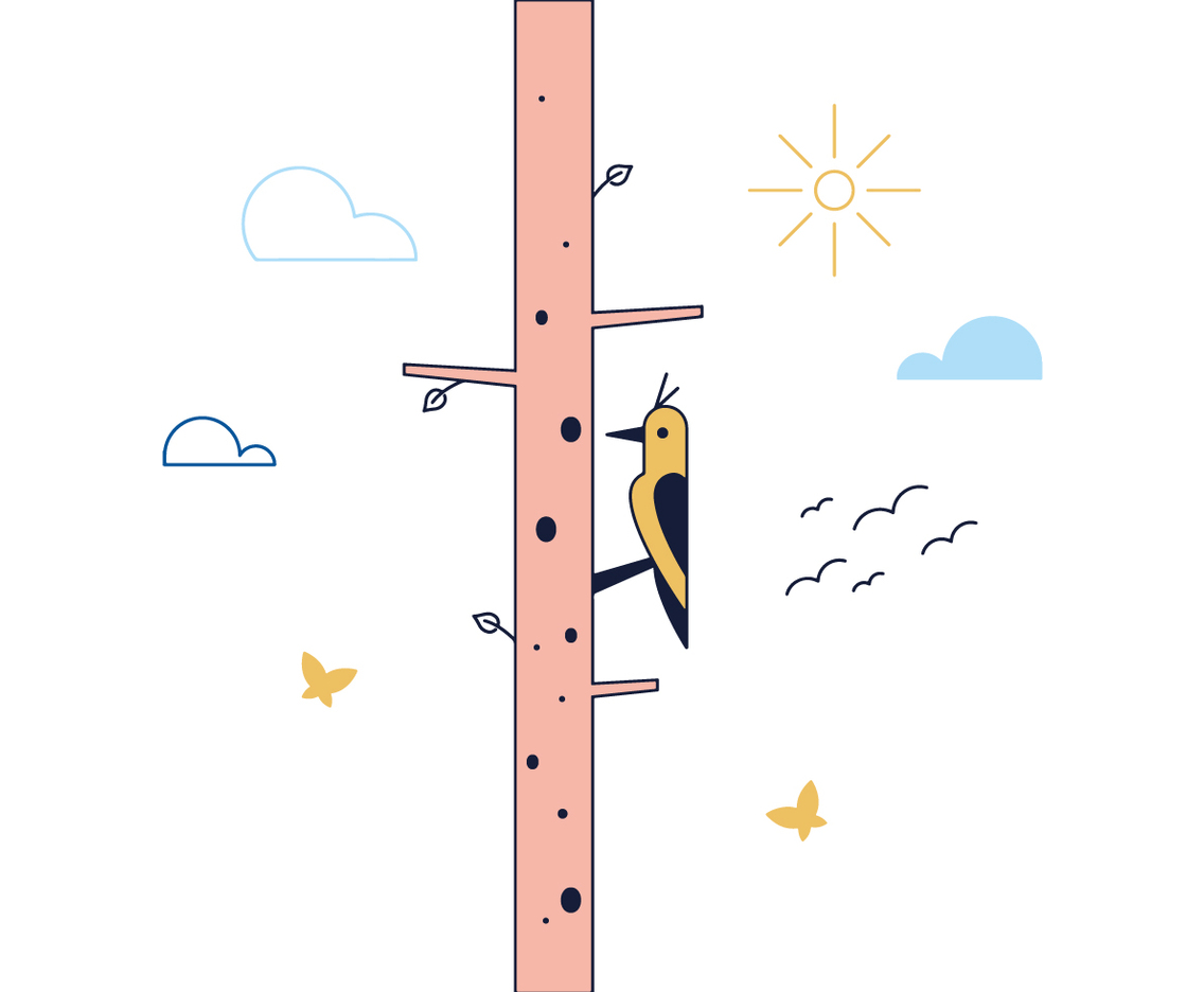 Free Woodpecker Vector
