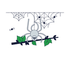Free Spider Web Vector