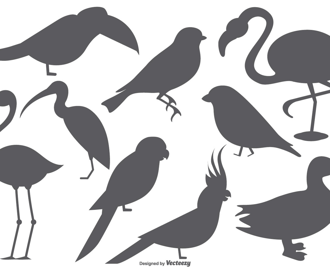 Vector Bird Shape Collection