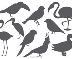 Vector Bird Shape Collection