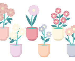 Vector Flower Collection