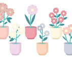 Vector Flower Collection
