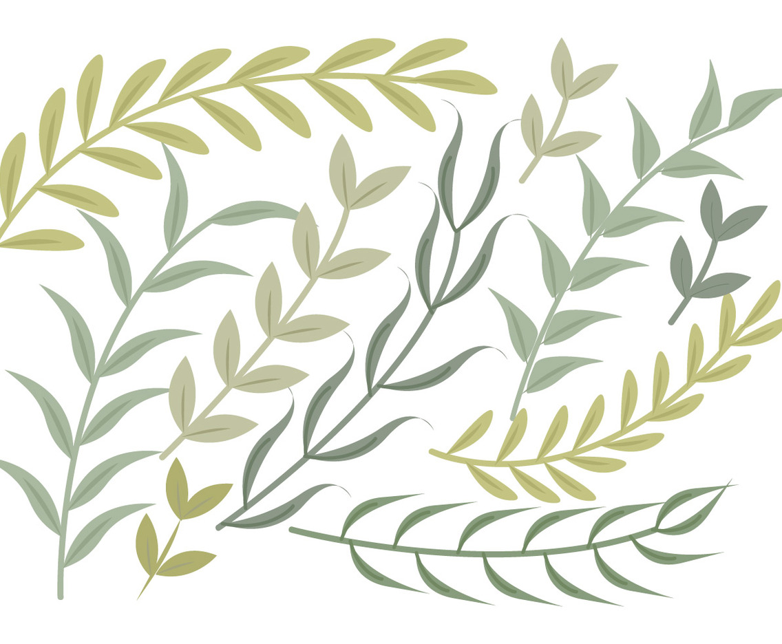 Vector Green Branches Set
