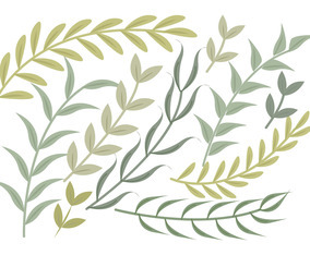 Vector Green Branches Set