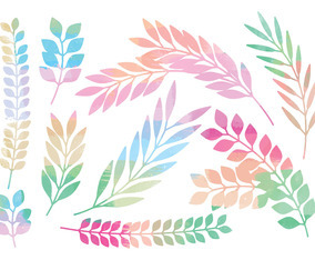 Colorful Vector Branches Set