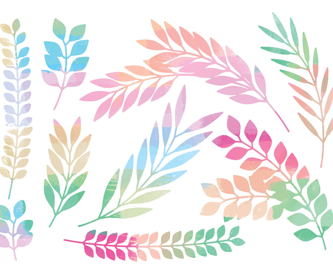 Colorful Vector Branches Set