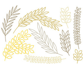 Vector Outlined Branches Set