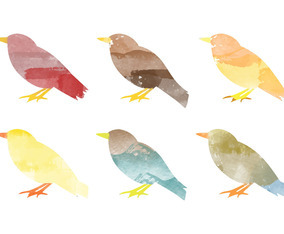 Vector Watercolor Bird Collection