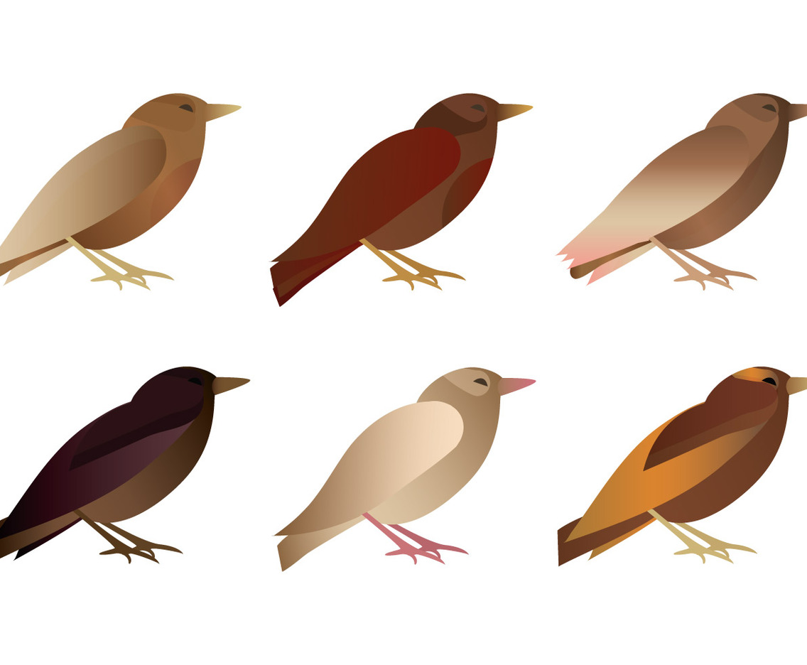 Vector Bird Collection