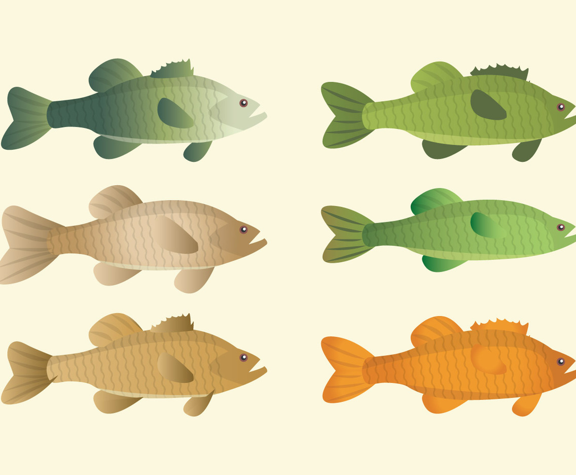 Vector Fishes Collection