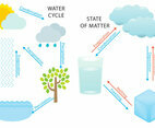 Water Cycle And States