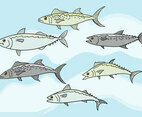 Mackerel Vector