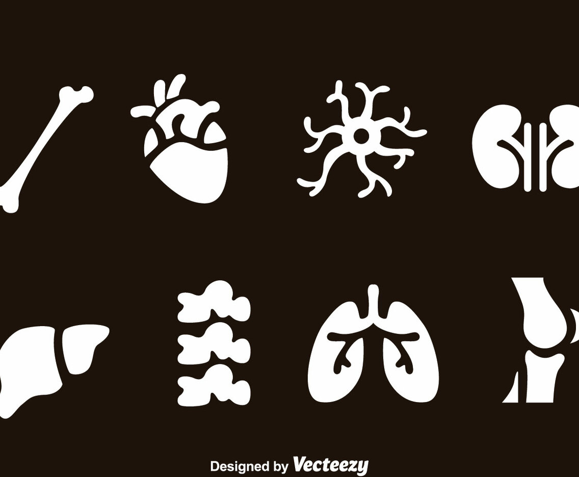 Human Organs Icons