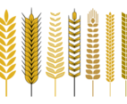 Free Wheat Stalk Vector