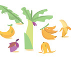 Banana Tree Vector