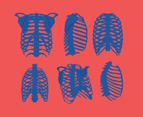 Ribcage Vector