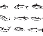 Free Mackerel Vectors