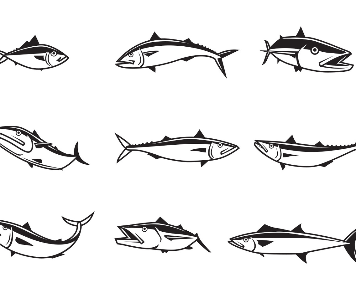 Free Mackerel Vectors