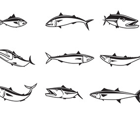 Free Mackerel Vectors