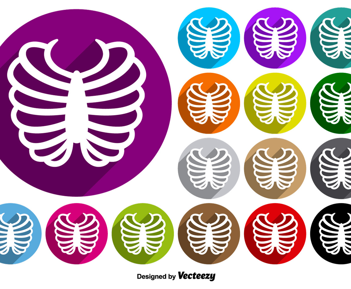 Rib Cage Icon Colorful Buttons Vector Set