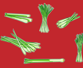 Lemongrass Illustration Vector