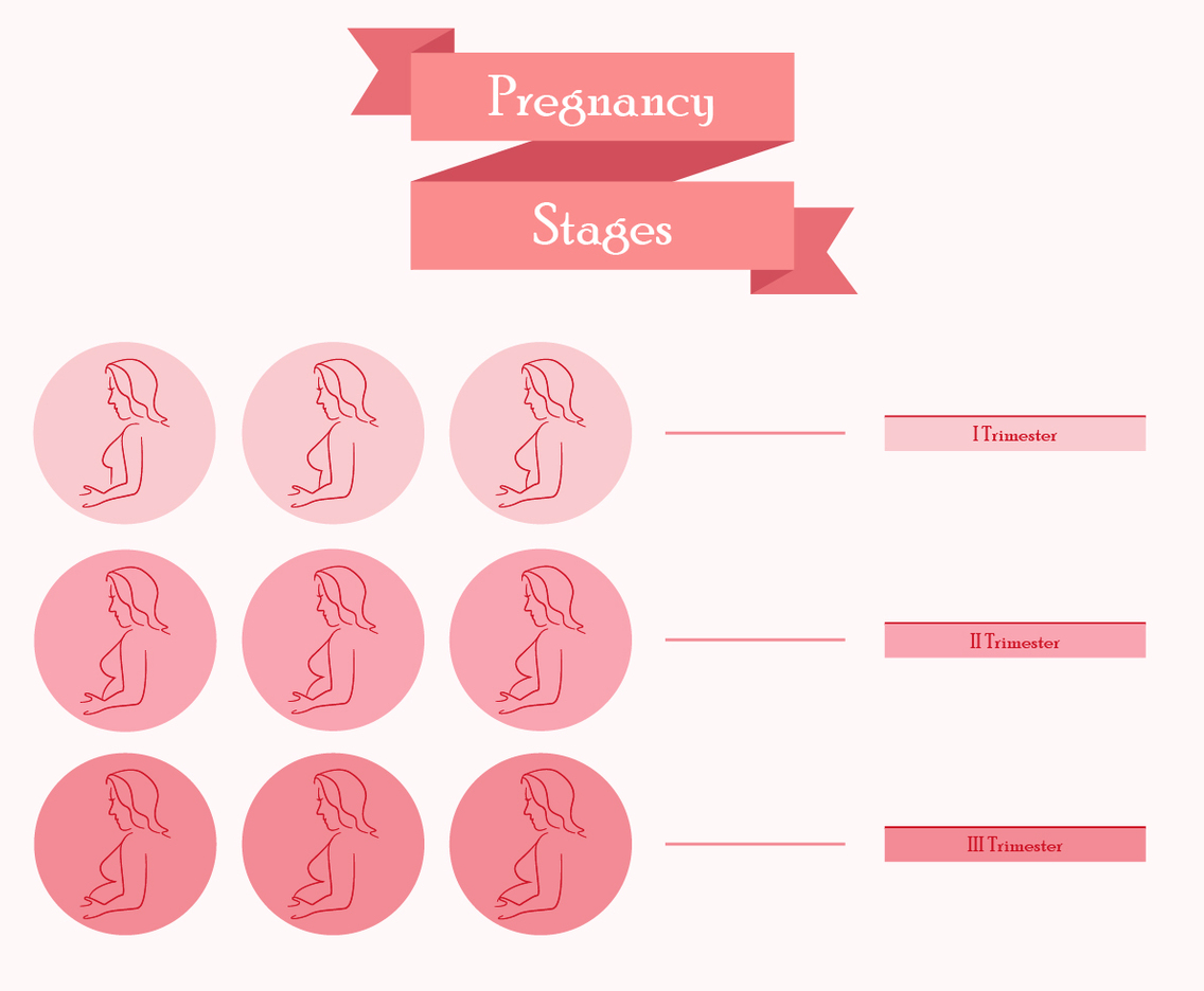 Pregnant Mom Stages