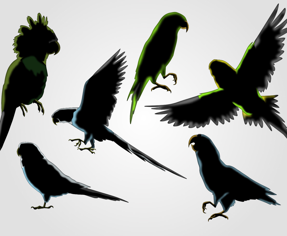 Budgie Silhouette Vector Set