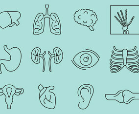 Bones And Organs Icons