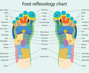 Foot Reflexology Chart
