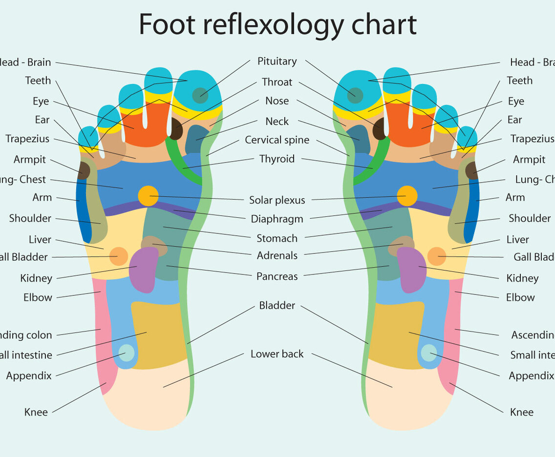 Foot Reflexology Chart