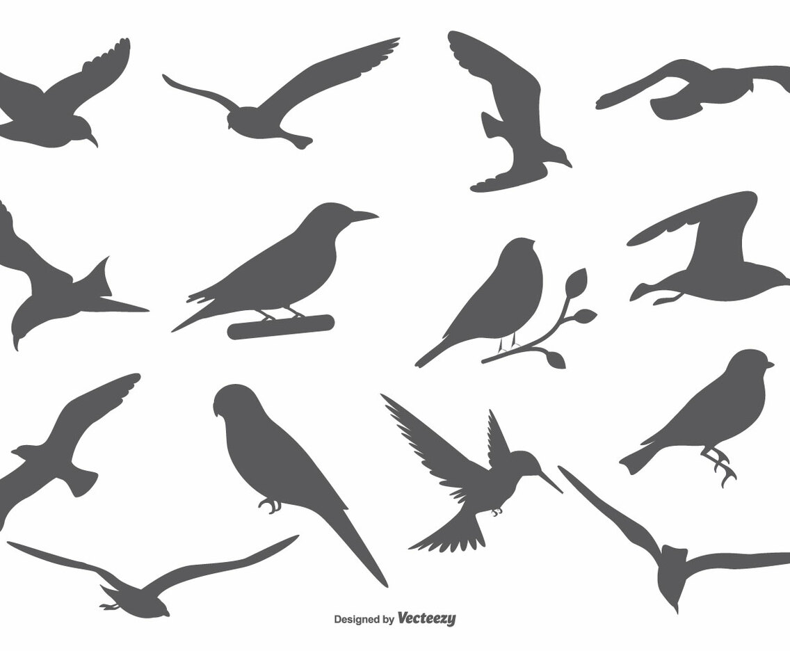 Bird Vector Silhouettes