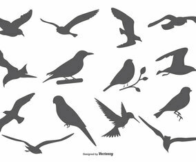 Bird Vector Silhouettes