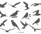 Bird Vector Silhouettes