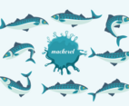 Mackerel Fishes Vector Illustration