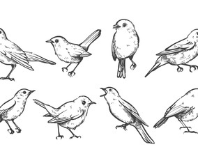 Free Nightingale Vectors
