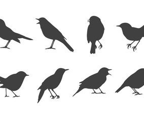 Free Nightingale Vectors