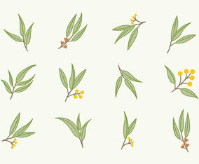 Free Flat Eucalyptus Icons