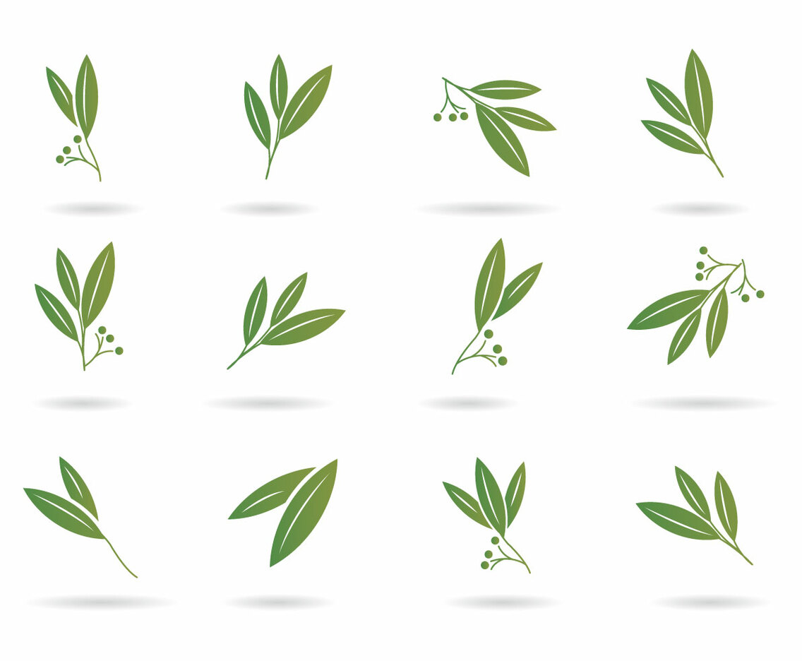 Free Eucalyptus Icons