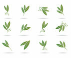 Free Eucalyptus Icons