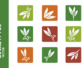 Free Eucalyptus Icon Vectors
