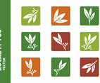 Free Eucalyptus Icon Vectors